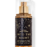 بادی میست مینی into the night